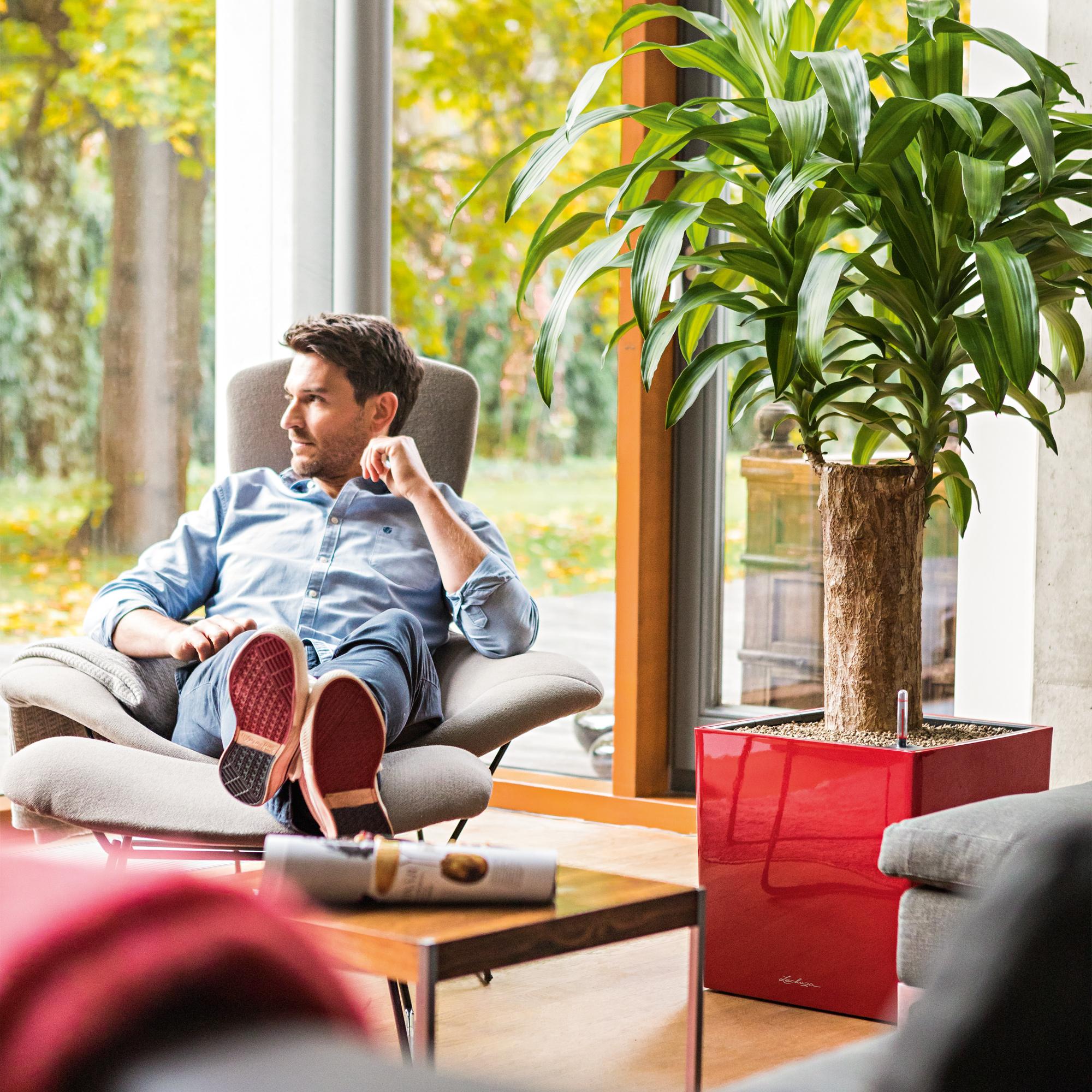 le_cube40_product_addi_03